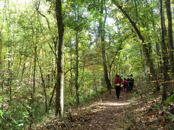 Gallery 2 - Southeastern Outings dayhike at Ruffner Mountain Nature Preserve