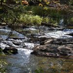 Gallery 3 - Southeastern Outings Dayhike at the new Shoal Creek Park in Montevallo, Alabama