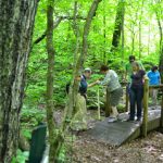Gallery 1 - Southeastern Outings Dayhike in the Homewood Forest Preserve