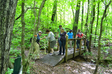 Gallery 1 - Southeastern Outings Dayhike in the Homewood Forest Preserve