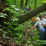 Gallery 2 - Southeastern Outings Dayhike in the Homewood Forest Preserve