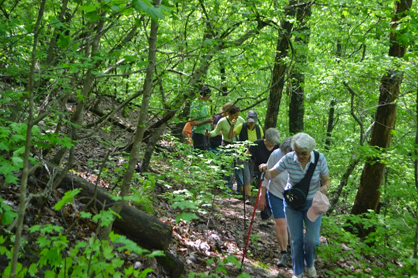 Gallery 3 - Southeastern Outings Dayhike in the Homewood Forest Preserve