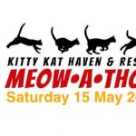 Kitty Kat Haven & Rescue 5K Meow-A-Thon and 1 Mile Whisker Walk