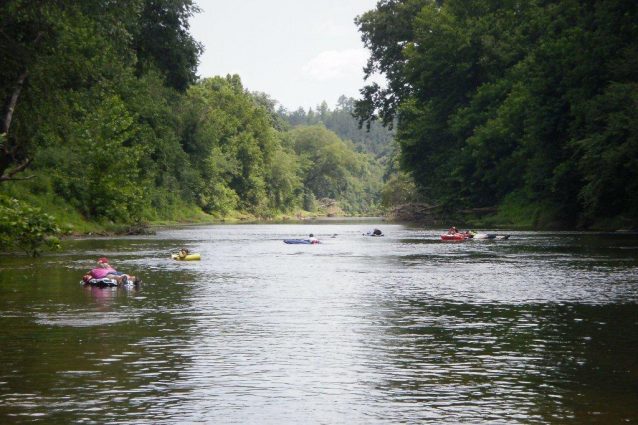 Gallery 3 - Southeastern Outings Easy River Float on the Locust Fork River