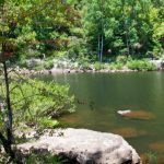 Gallery 4 - Southeastern Outings Glorious Swim at the bottom of DeSoto Falls-POSTPONED TO JULY 24, 2021