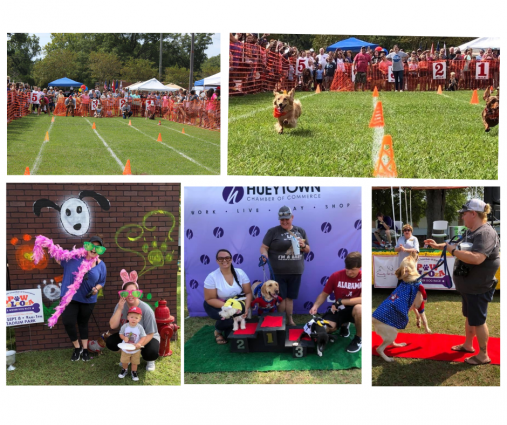 Gallery 3 - Paw Palooza and Wiener Dog Races
