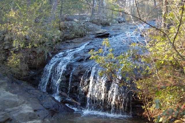 Gallery 4 - Southeastern Outings dayhike at the Moss Rock Preserve in Hoover, Alabama