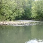 Gallery 2 - Southeastern Outings Kayak and Canoe Trip on Big Wills Creek near Gadsden, Alabama