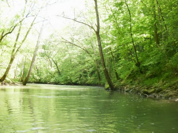 Gallery 3 - Southeastern Outings Kayak and Canoe Trip on Big Wills Creek near Gadsden, Alabama