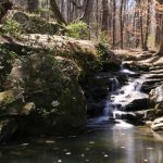 Gallery 2 - Southeastern Outings Dayhike at the Moss Rock Preserve in Hoover