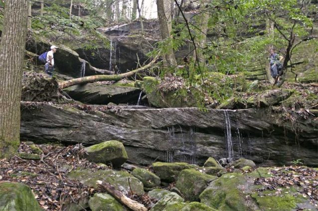 Gallery 1 - Southeastern Outings Dayhike along Brushy Creek and to Sougahoagdee Falls, Bankhead National Forest