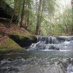 Gallery 3 - Southeastern Outings Dayhike along Upper Quillan Creek in the Sipsey Wilderness