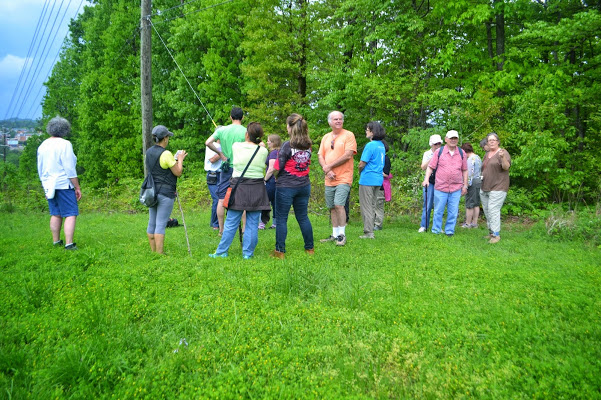 Gallery 4 - Southeastern Outings Wildflower Walk in a Forest Preserve in Homewood