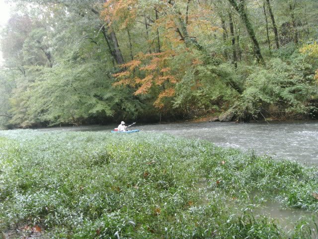 Gallery 1 - A fun Southeastern Outings kayak and canoe trip on Big Wills Creek which is fairly easy.