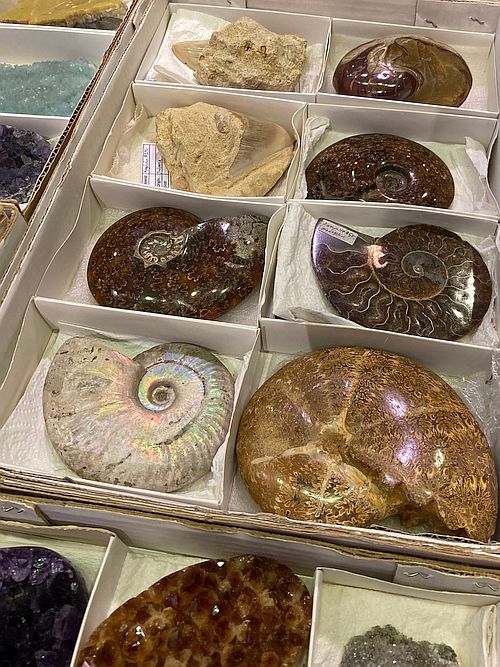 Gallery 4 - Annual Gem Show, hosted by the Alabama Mineral and Lapidary Society