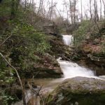 Gallery 3 - Southeastern Outings Weekday Hike in the Moss Rock Preserve in Hoover