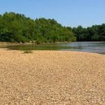 Gallery 2 - Southeastern Outings River Beach Walk, Woodland Hike, and Picnic in Perry County, Alabama