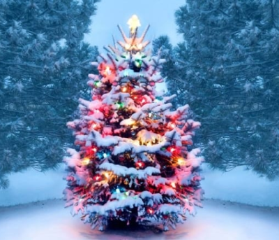 Graysville Christmas Tree Lighting