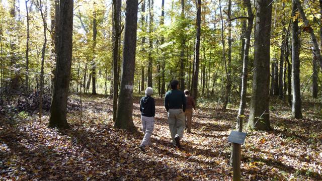 Gallery 2 - Southeastern Outings Moderate Dayhike in Paul Grist State Park