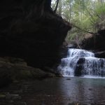 Gallery 3 - Southeastern Outings Moderate Dayhike along Turkey Foot and Borden Creeks in the Sipsey Wilderness