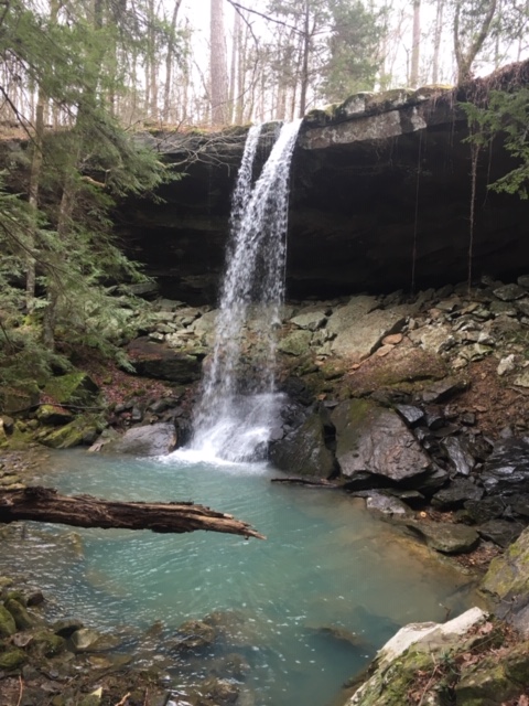 Gallery 1 - Southeastern Outings dayhike to view multiple waterfalls in the Bankhead National Forest
