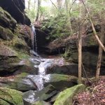 Gallery 2 - Southeastern Outings dayhike to view multiple waterfalls in the Bankhead National Forest
