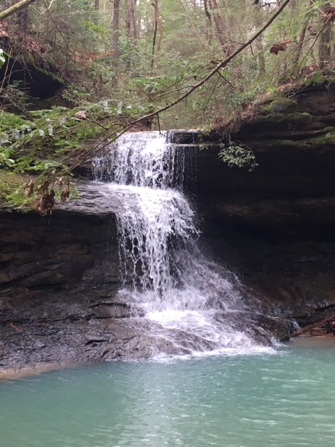 Gallery 3 - Southeastern Outings dayhike to view multiple waterfalls in the Bankhead National Forest