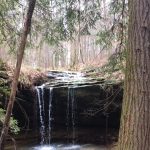Gallery 4 - Southeastern Outings dayhike to view multiple waterfalls in the Bankhead National Forest
