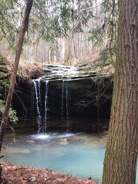 Gallery 4 - Southeastern Outings dayhike to view multiple waterfalls in the Bankhead National Forest