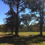 Gallery 4 - Southeastern Outings Dayhike at Horseshoe Bend National Military Park