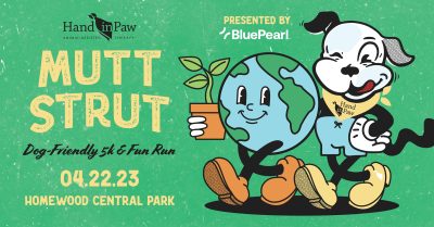 Hand in Paw's 13th annual Mutt Strut: Dog-Friendly 5k & Fun Run