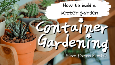 How to Build a Better Garden: “Got Sun, Grow Food” Container Gardening