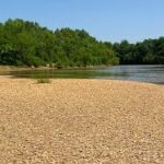 Gallery 2 - Southeastern Outings River Beach Walk, Swim and Picnic at Barton’s Beach in Perry County, Alabama