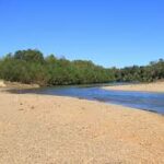 Gallery 4 - Southeastern Outings River Beach Walk, Swim and Picnic at Barton’s Beach in Perry County, Alabama