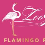 Zoo Gala Flamingo Flamboyance