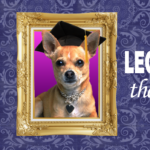 Legally Blonde, The Musical