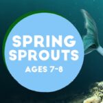 SPRING SPROUTS: PART OF YOUR WORLD