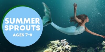 SUMMER SPROUTS: UNDER THE SEA