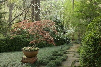 Film Premiere - A Garden in Conversation: Louise Agee Wrinkle’s Southern Woodland Sanctuary