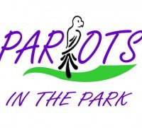Parrots in the Park