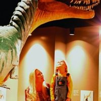 Anniston Museum of Natural History
